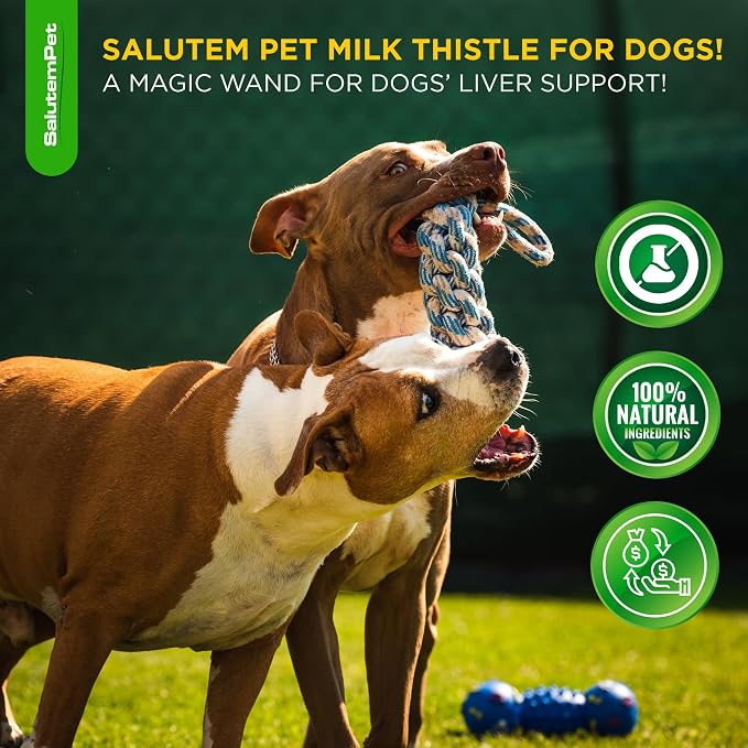 Milk Thistle for Dogs