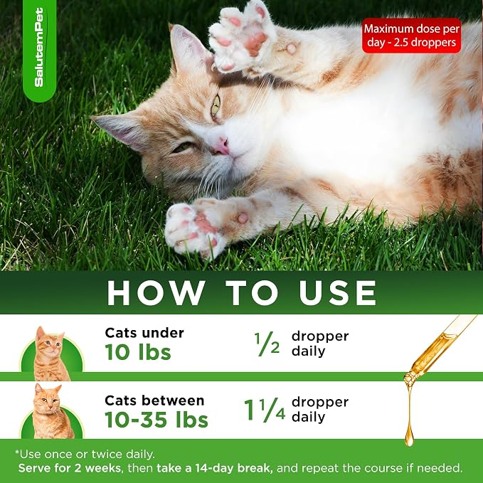 Herbal Antibiotic for Cats