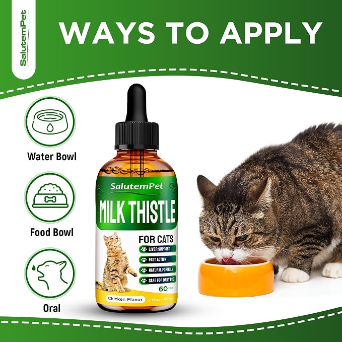 Milk Thistle for Cats