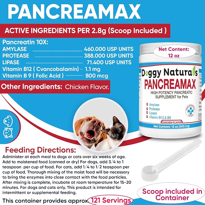 10x Porcine Pancreatin