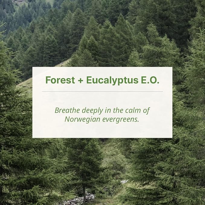 Lofoten Forest