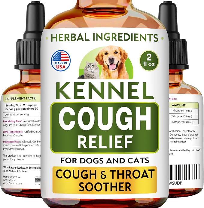 Kennel Cough