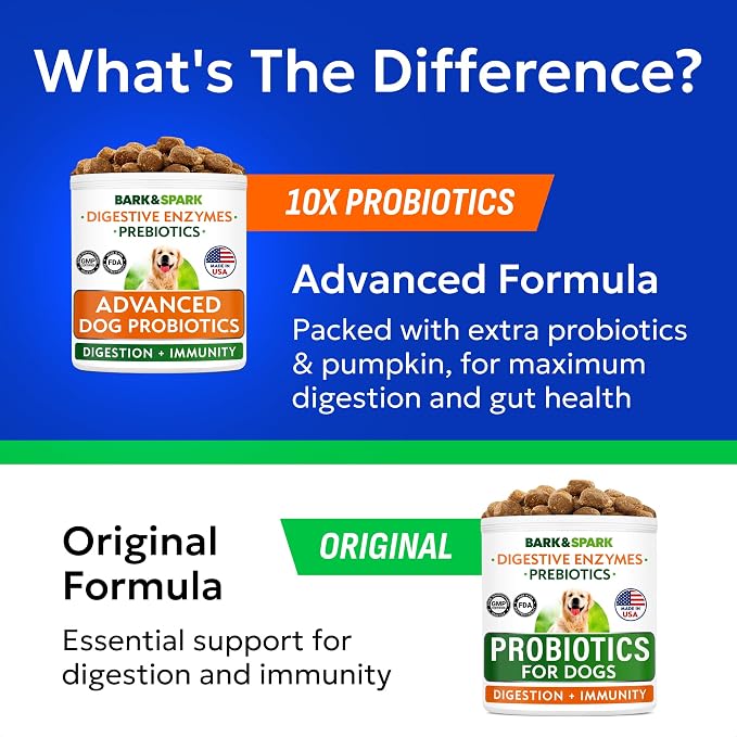 Probiotic Chews
