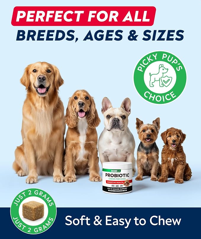 Probiotic Chews