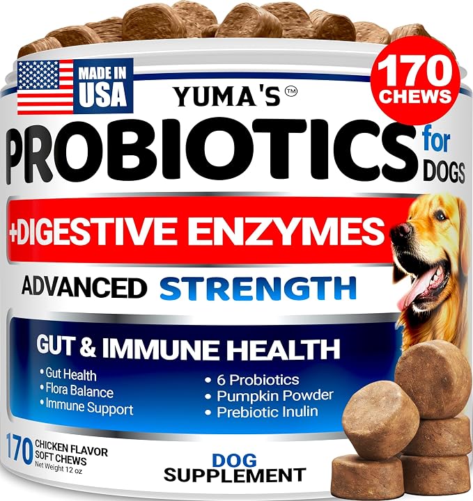 Probiotics + Enzymes