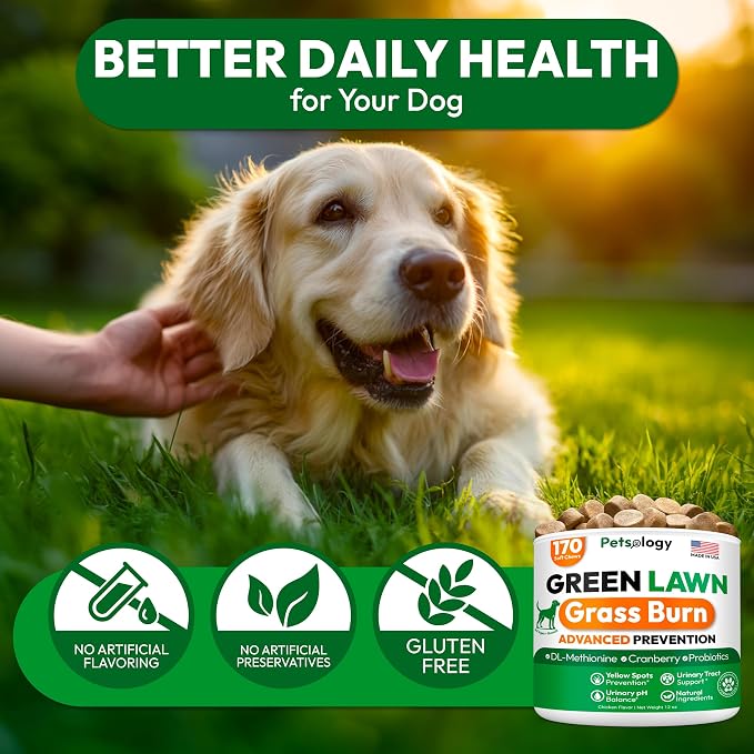 Green Lawn Chews