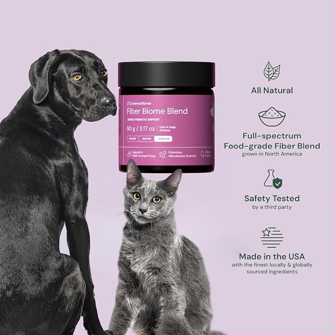 Fiber