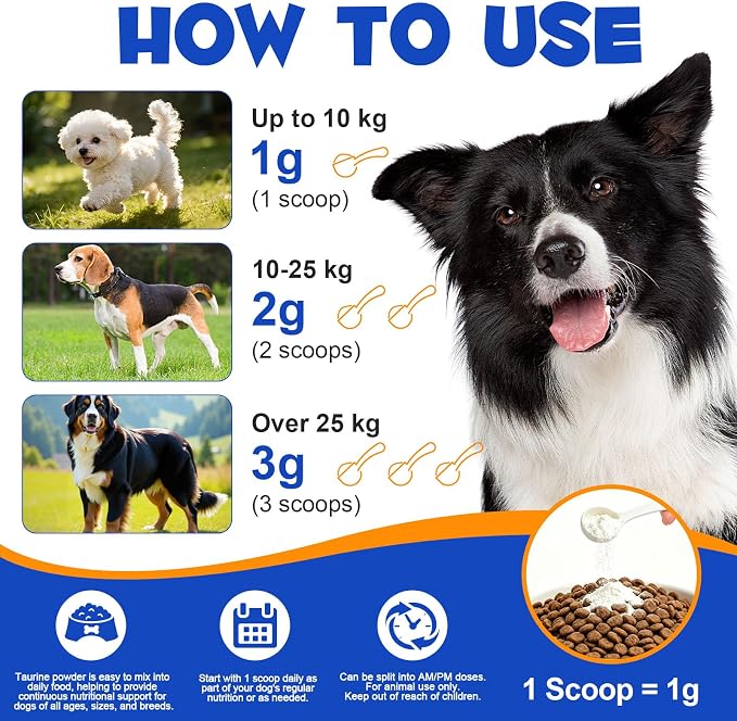 Taurine for Dogs