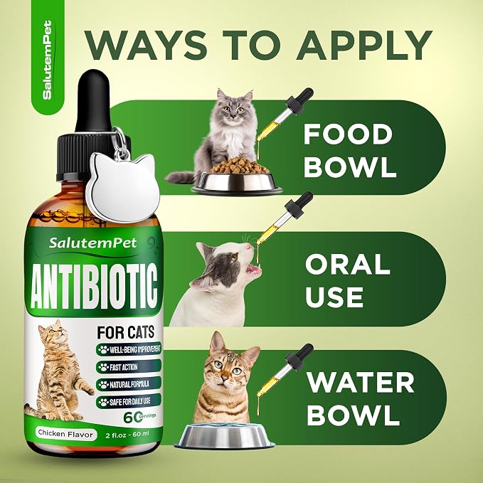 Herbal Antibiotic for Cats
