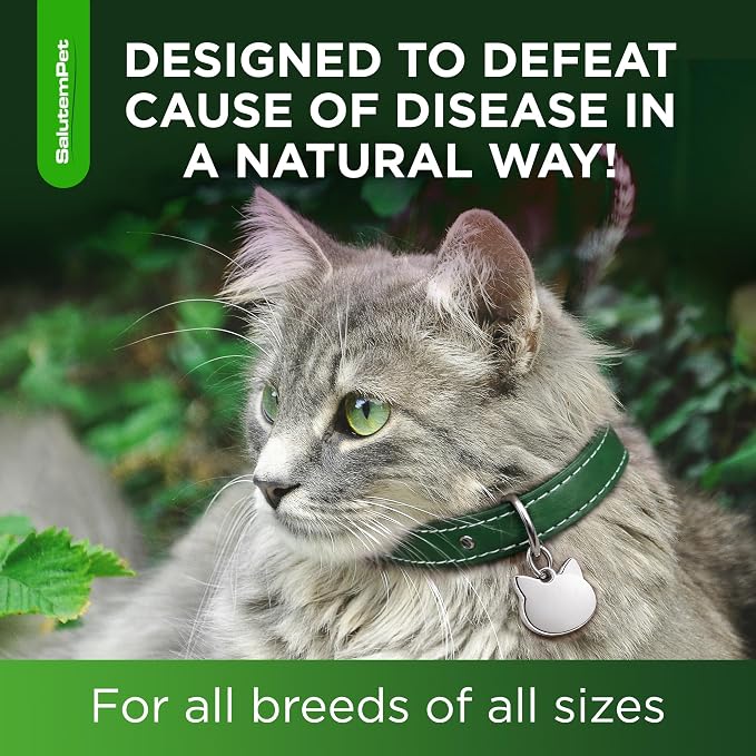 Herbal Antibiotic for Cats