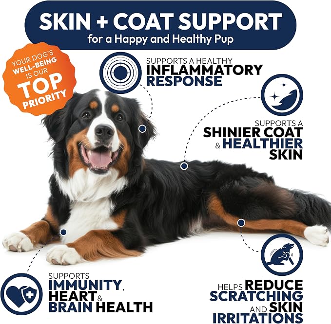 Skin & Coat