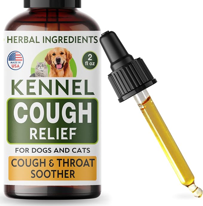 Kennel Cough