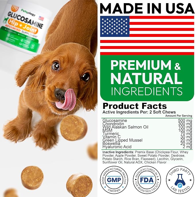 Glucosamine Chews