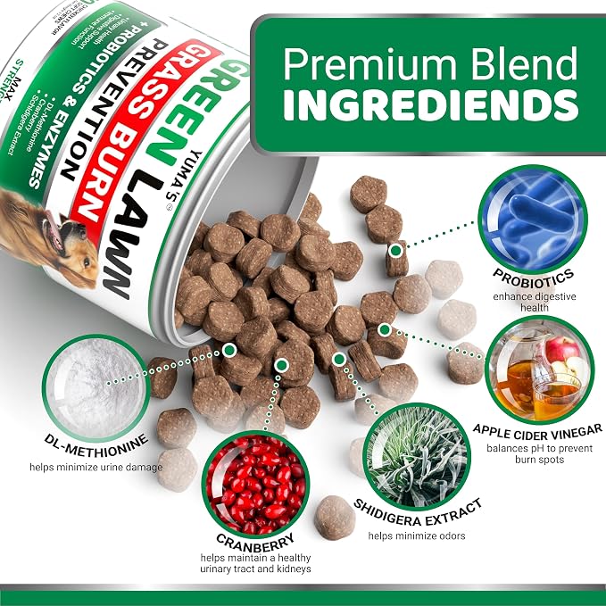 Green Lawn + Probiotic