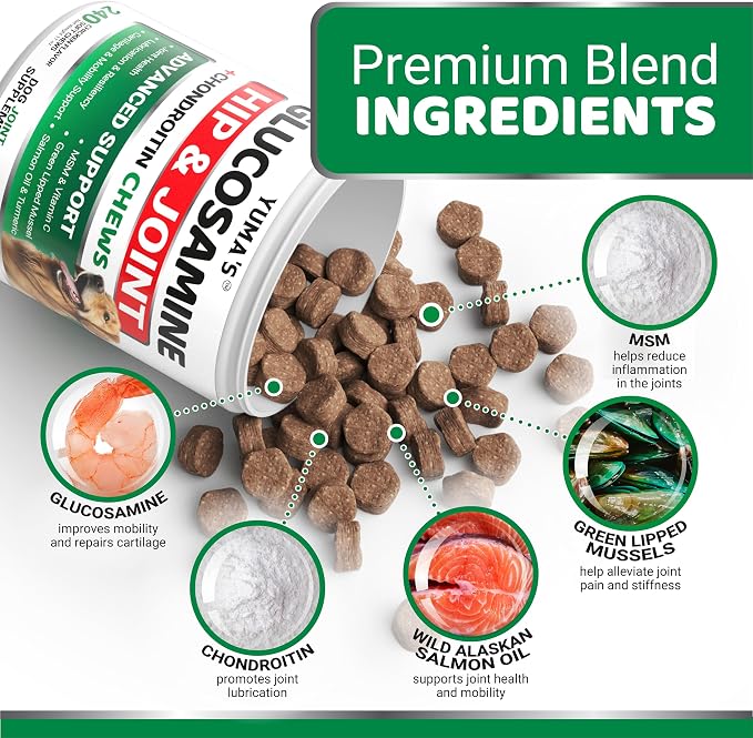 Glucosamine Chews