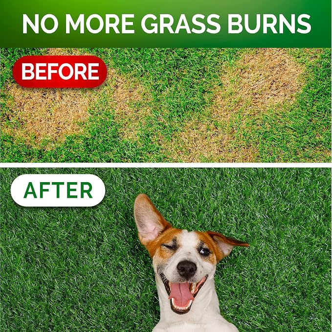 Green Lawn Probiotic Chews