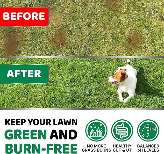 Green Lawn + Probiotic